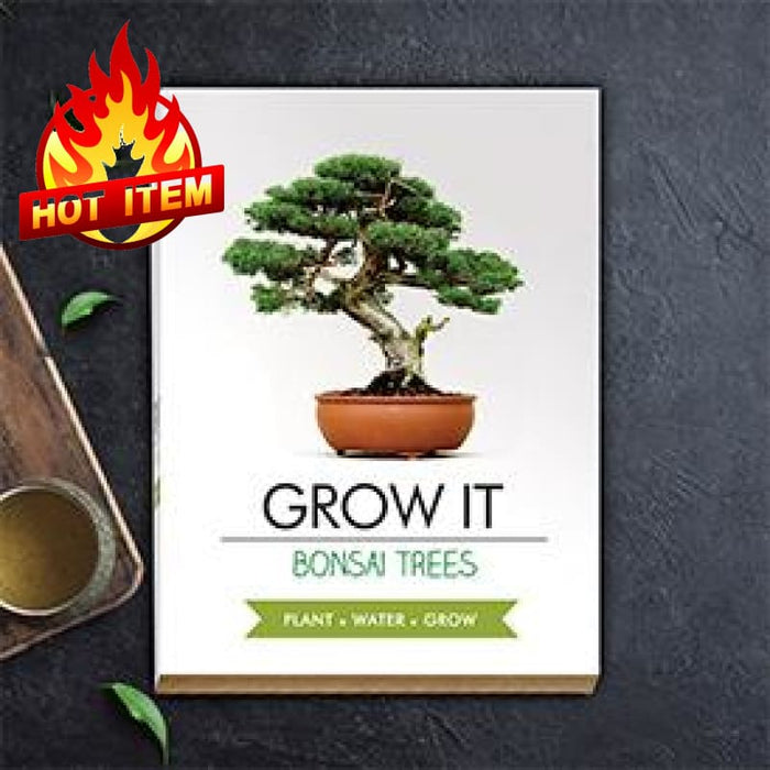 Bonsai Tree Plant Grow It