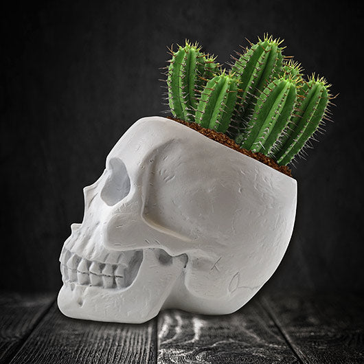 Skull Planter Kit