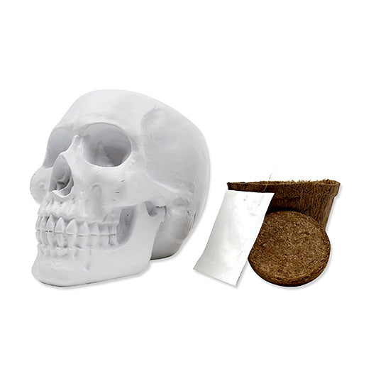 Skull Planter Kit