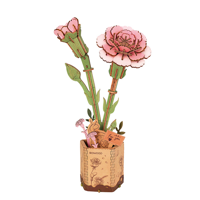 Pink Carnation