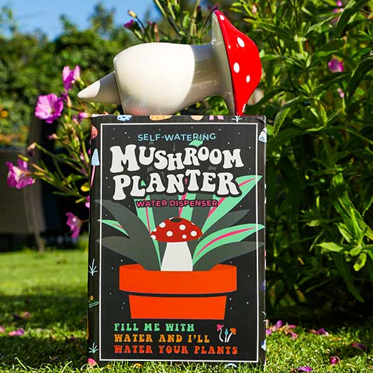 Self-Watering Mushroom Water Dispenser