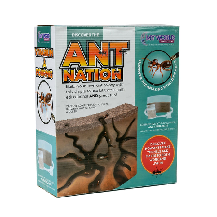 Ant Colony
