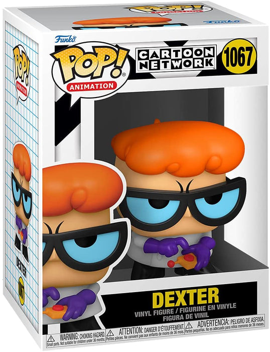 POP Animation: Dexters Lab- Dexter With