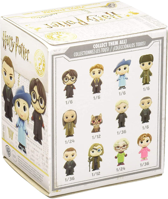 Blind Box Funko Pop Harry Potter Mystery Box Harry Potter Series