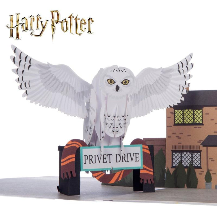 Harry Potter Hedwig Pop Up Card