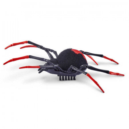 Crawling Spider Series 2