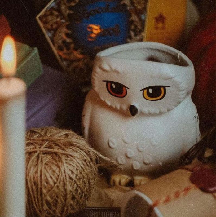 HARRY POTTER - Mug 3D - Hedwig