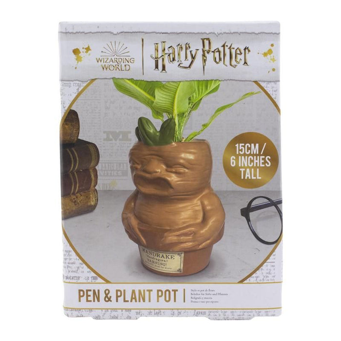 Mandrake Root Pen and Plant Pot